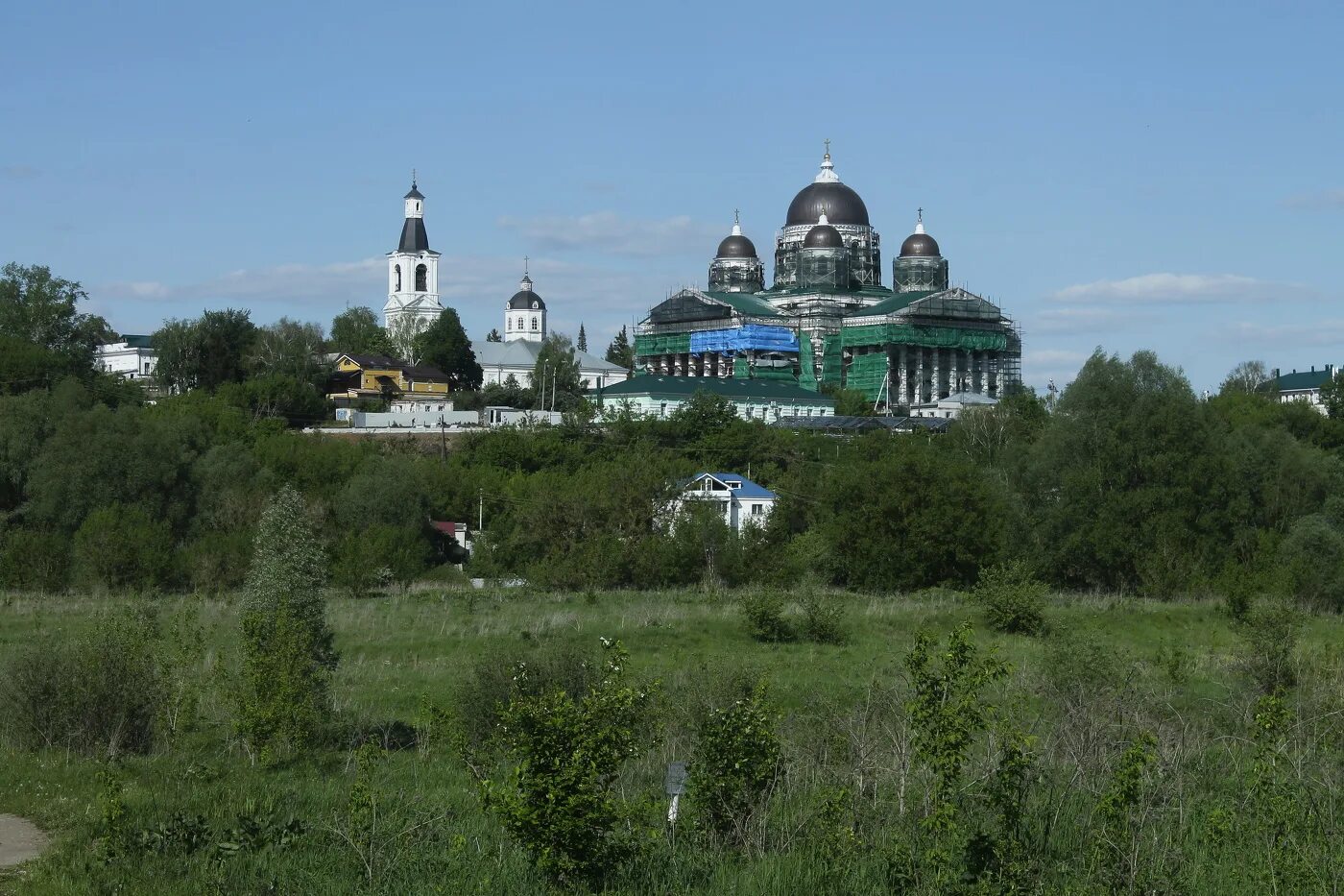 Погода на неделю арзамас нижегородской области. Арзамас Нижегородская область. Арзамас фото. Фото Арзамаса Нижегородской области. Растения в г Арзамас Нижегородская область.