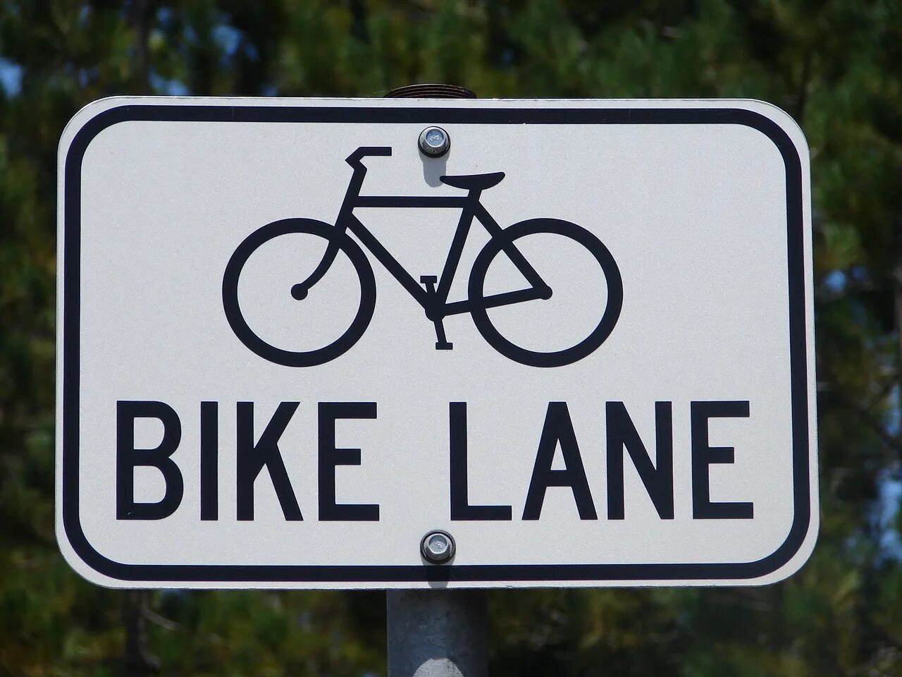 Who my bike. Детские велогонки. Who my bike. Possessive adjectives презентация. Whose bicycle is this.
