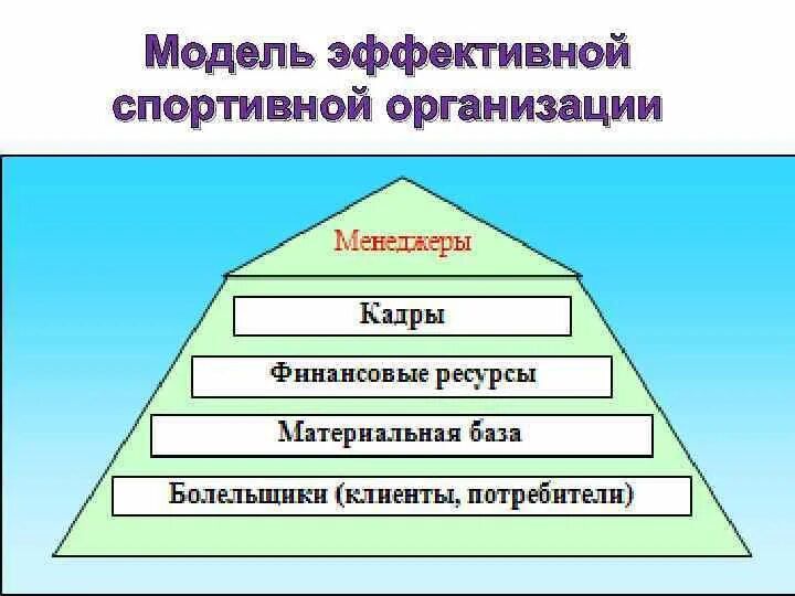 Модели эффективной организации. Стратегическая пирамида спортивной организации. Модель управление спортивной организацией. Менеджмент в спорте. Менеджмент в зарубежном спорте.