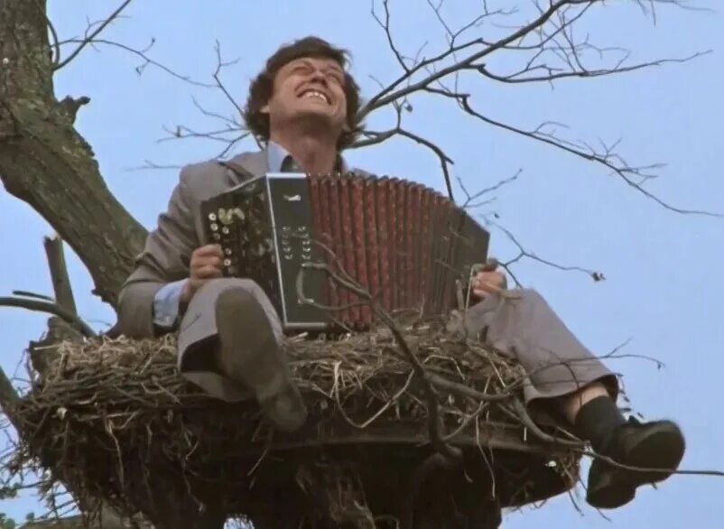 4 белые росы. Белые росы фильм 1983. белые росы фильм 1983 караченцов. белые росы караченцов в гнезде. караченцев в фильме белые росы.