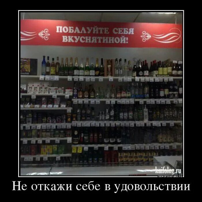 Не отказывай себе в удовольствие. Демотиваторы про алкоголь. Побалуй себя вкусненьким. Побалуй. Не отказывайте себе в удовольствии.