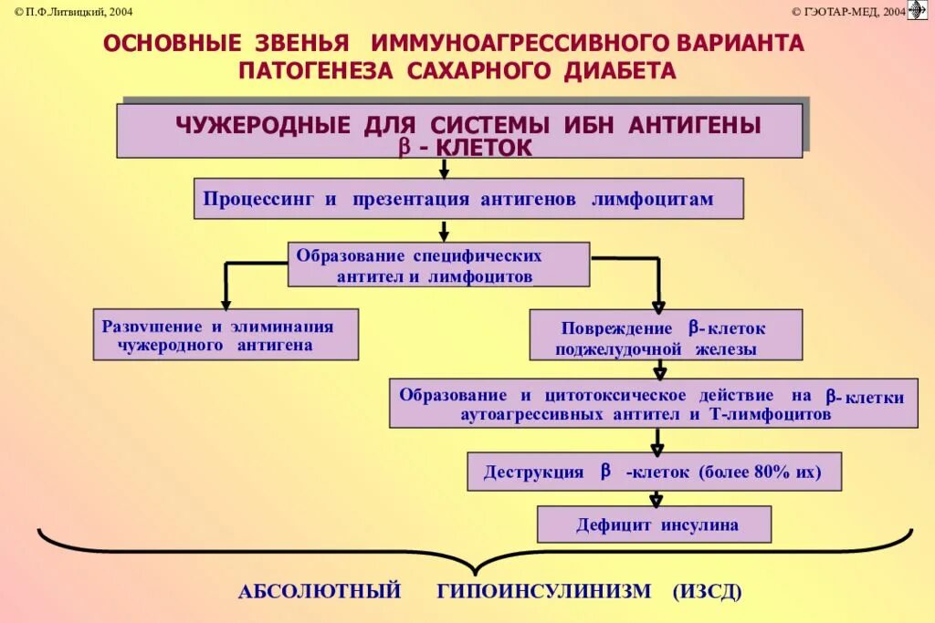 Аутоиммунный сахарный диабет патогенез. Этиология сахарного диабета 1 типа. Патогенез развития сахарного диабета. Основные звенья патогенеза сахарного диабета. Пересадка железы при сахарном диабете