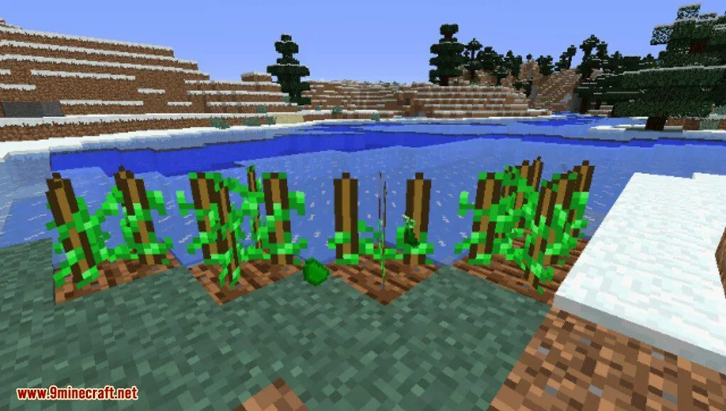 Ball mod minecraft. Dragon ball mod minecraft. драгонболл мод на майнкрафт. мод на драгонболл в майнкрафт 1.12.2. мод на драгонболл в майнкрафт на андроид.