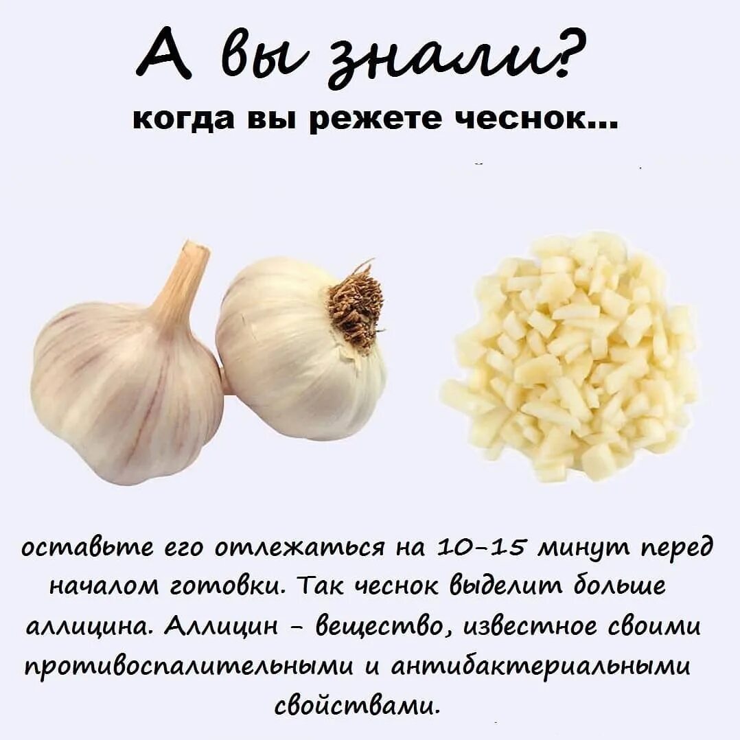 Чем полезен чеснок. Полезен чеснок для.организма. Чеснок польза. Полезные свойства чеснока. Какой чеснок полезнее