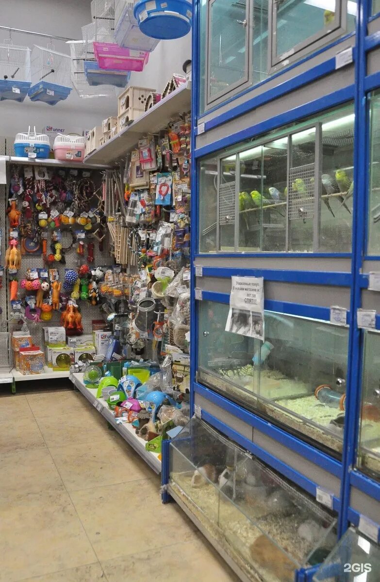 зоомагазины в москве. зоомагазины в томске с животными. ближайший стой магазин. магазин товаров для животных. зоомагазин сочи магазин.
