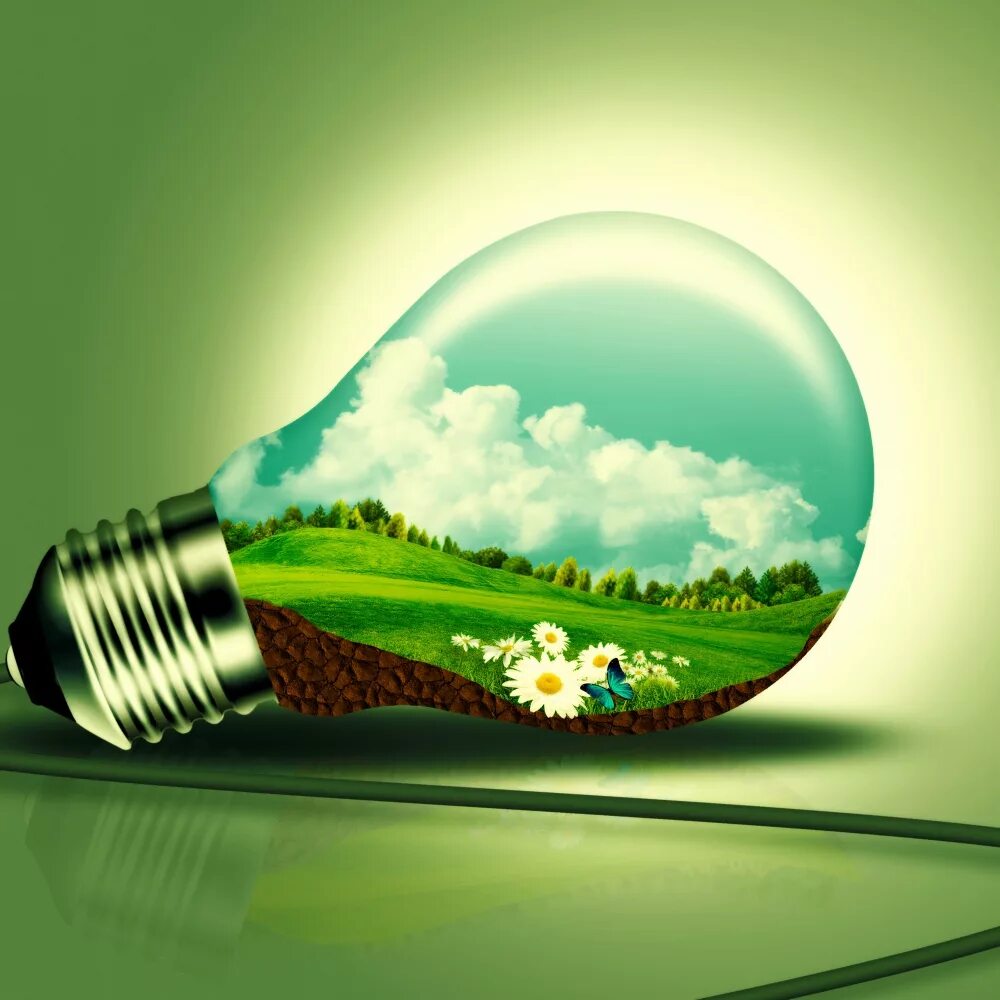 экологическая физика