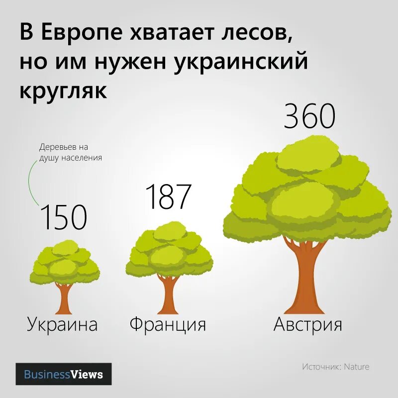 Сколько растет 1 дерево. Сколько всего деревьев. Количество деревьев в мире. Количество деревьев на 1 человека. Сколько деревьев нужно на 1 человека.