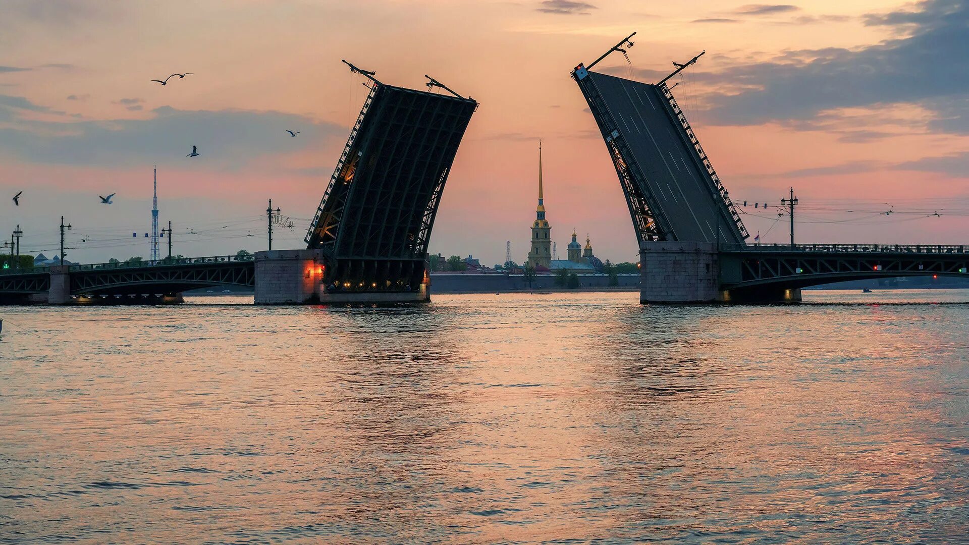 Мосты над невой конкурс 2024. Белые ночи Санкт-Петербург. Белые ночи в Санкт-Петербурге 2021. Дворцовый мост Петербург белые ночи.