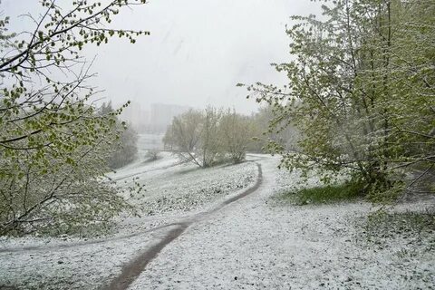 Зимний май