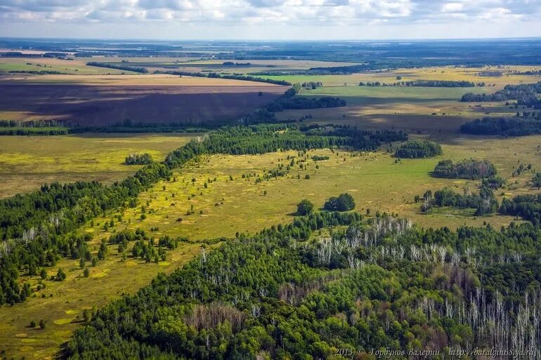 Лесостепи Восточно европейской равнины. Русская равнина это Восточно-европейская равнина. Лесостепи в Восточно-европейской. Восточно европейская Долина. Природные зоны центра россии