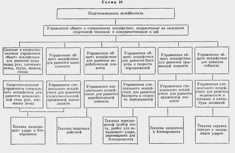 Степень освоения спортсменом техники виды спорта