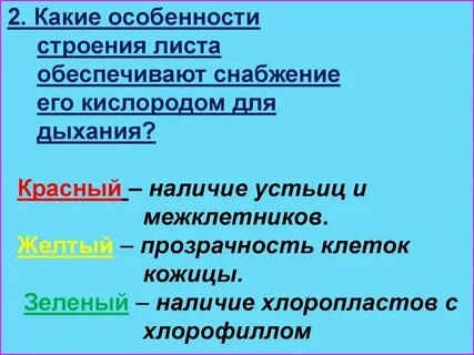 Какие особенности строение и образа жизни