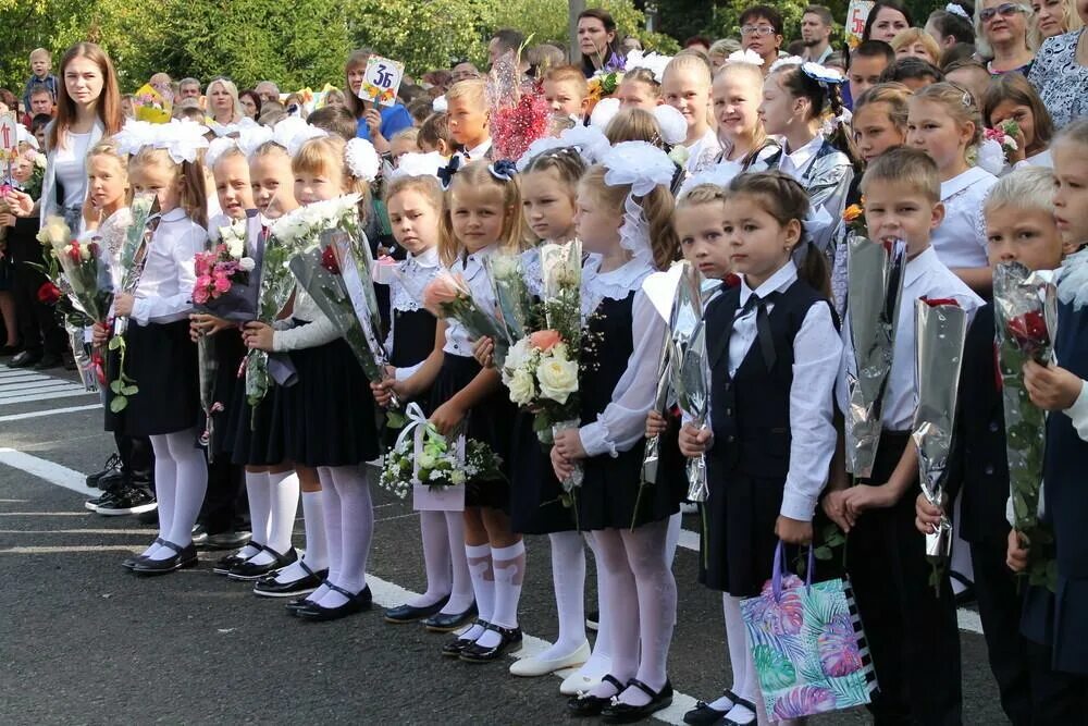 Лицей 1 домодедово. Лицей 1 Востряково Домодедово. Школа 3 Востряково. Школа г Домодедово Востряковский лицей 1. Востряковский лицей 2.