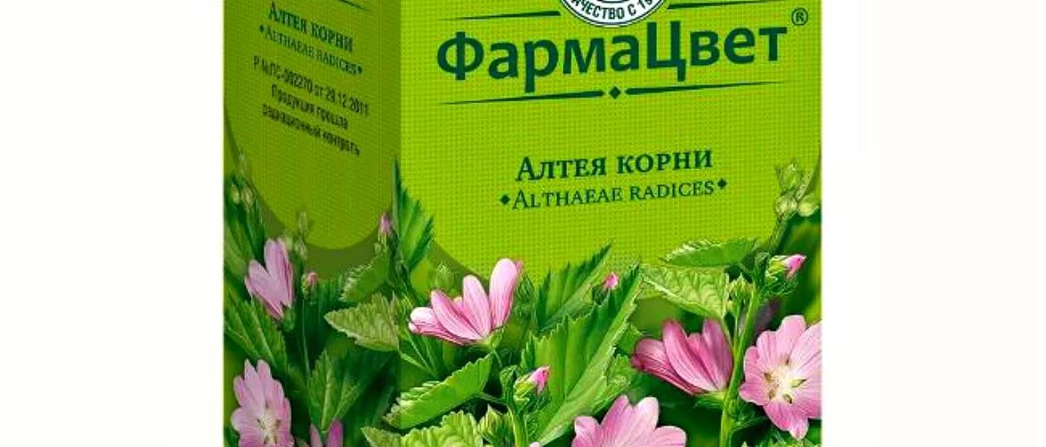 Корень алтея отзывы. Althaeae Radices – Алтея корни. Алтей корень Фитофарм. Алтей аптечный. Корни Алтея фитосбор.