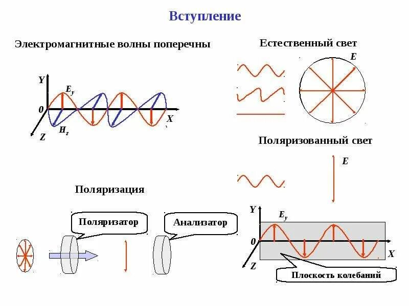 Поляризация элементов. Поперечность световых волн поляризация света 11 класс физика. поперечность электромагнитных волн. поляризация света естественный и поляризованный свет. поляризация электромагнитных волн.