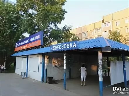 Посёлок Берёзовка Хабаровск. Город Хабаровск Березовка. Поселок Березовка. Улицы с Березовки Хабаровск.