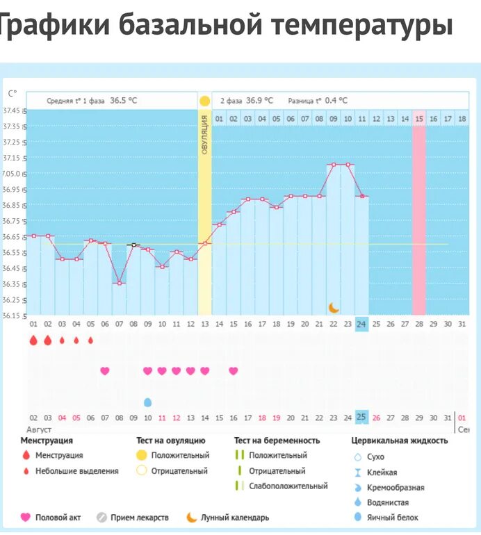 Базальная температура отзывы. График БТ. Графики базальной температуры. Беременный график базальной. Беременные графики базальной температуры примеры.