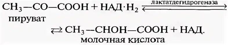 Образование молочной. Образование молочной кислоты. Реакция образования молочной кислоты. Образование молочной кислоты из пирувата. Молочная кислота из пирувата.