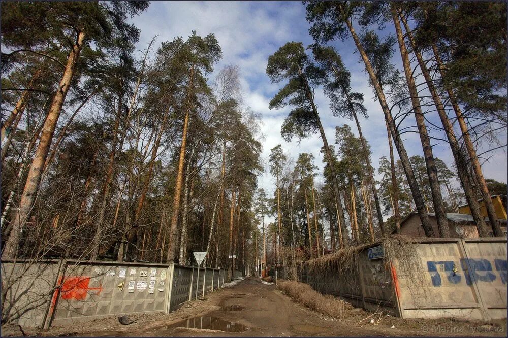 малаховка московская область прудовая 20. малаховка ул малаховская. малаховка улица карла либкнехта. малаховка красная змеевка 12 дом. улица карла либкнехта 38 малаховка.