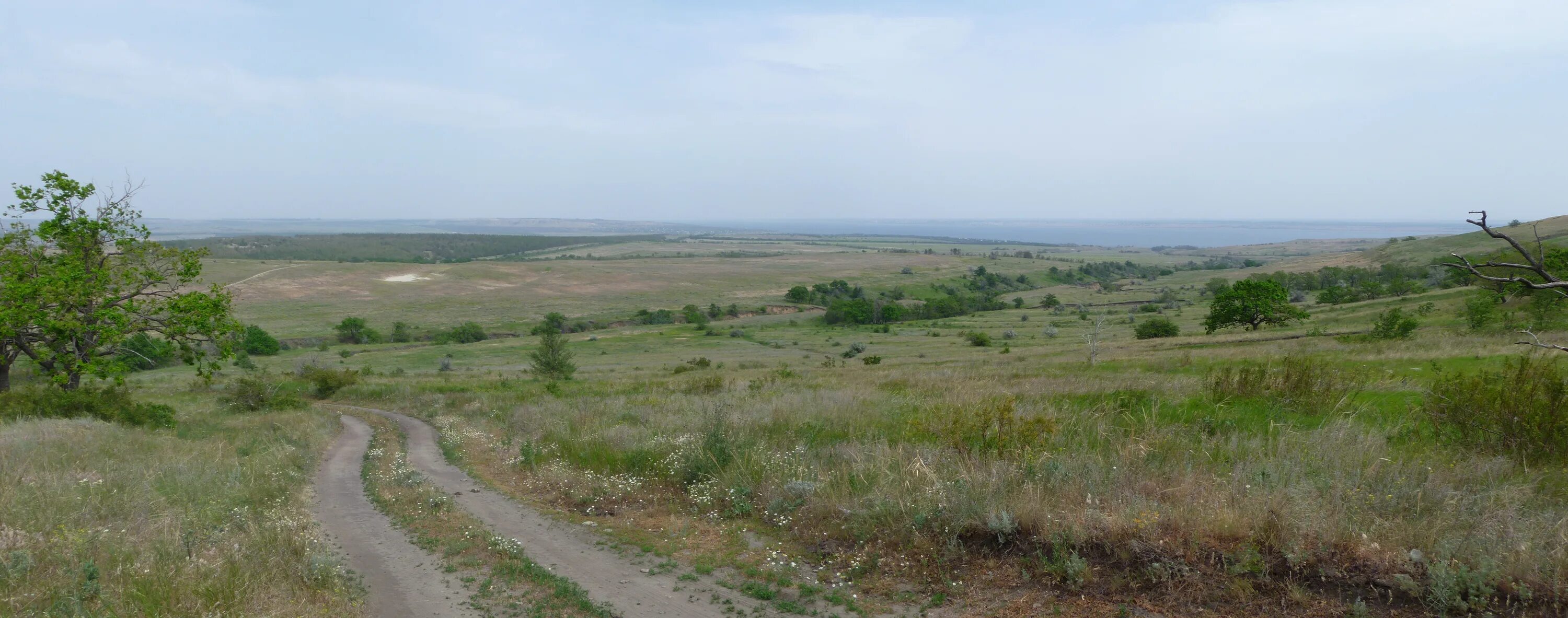 Река Сакарка Волгоградская область фото. Синяя гора Волгоградская область. Село Дубовка. Антиповка Волгоградская область. Волгоградская область ветер