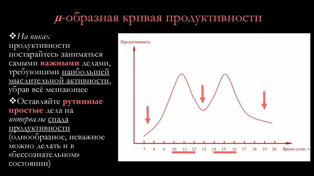 Пик мужской продуктивности. График работоспособности в течение дня. График продуктивности. Активность мозга в течение дня. График продуктивности человека.