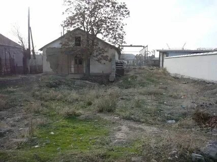 Погода в газалкенте на 3 дня