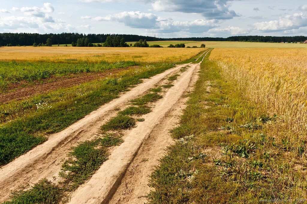 Сельскохозяйственные дороги. Земля дорога. Земля тропинка. Полевая дорога.