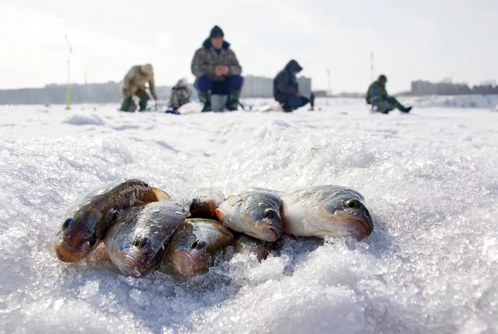Зимняя рыбалка. Подледная рыбалка. Рыбаки на льду. Рыбак зимой. Подледный лов рыбы