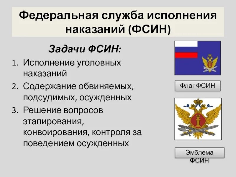 Фсин исполнение наказания. Фед служба исполнения наказаний РФ. Федеральная служба исполнения наказаний (ФСИН). Федеральная служба исполнения наказаний задачи. Функции ФСИН.