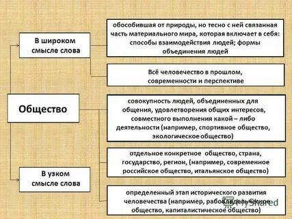 Сколько смыслов в слове общество