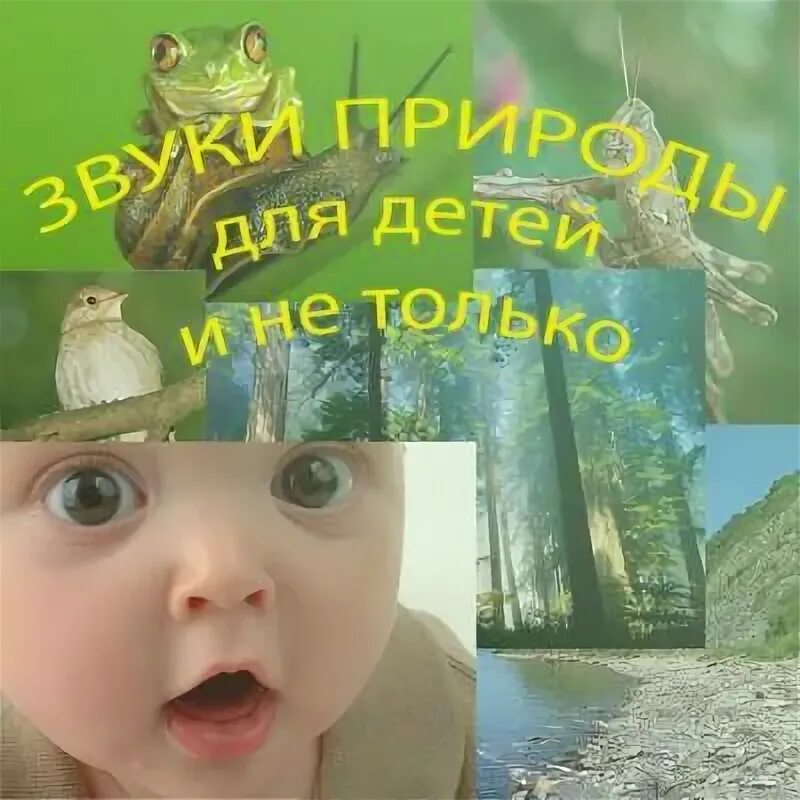 Успокаивающие песни для детей. Шум природы для сна. Релакс звуки природы для сна. Колыбельная для малышей звуки природы. Звуки природы для детей.