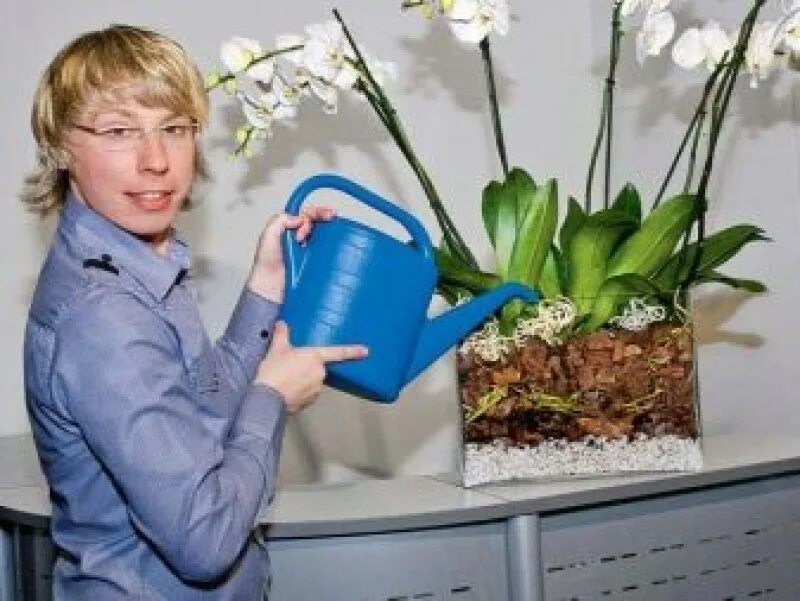 Грунт для орхидей фаленопсис. Кашпо для орхидей. Посадка орхидеи. Емкости для фаленопсиса.