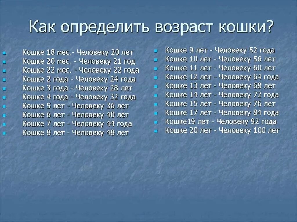 Как определить Возраст кошки. Определить возрасткош. Как определитьвозвраст кошки. Как узнать Возраст кошки.