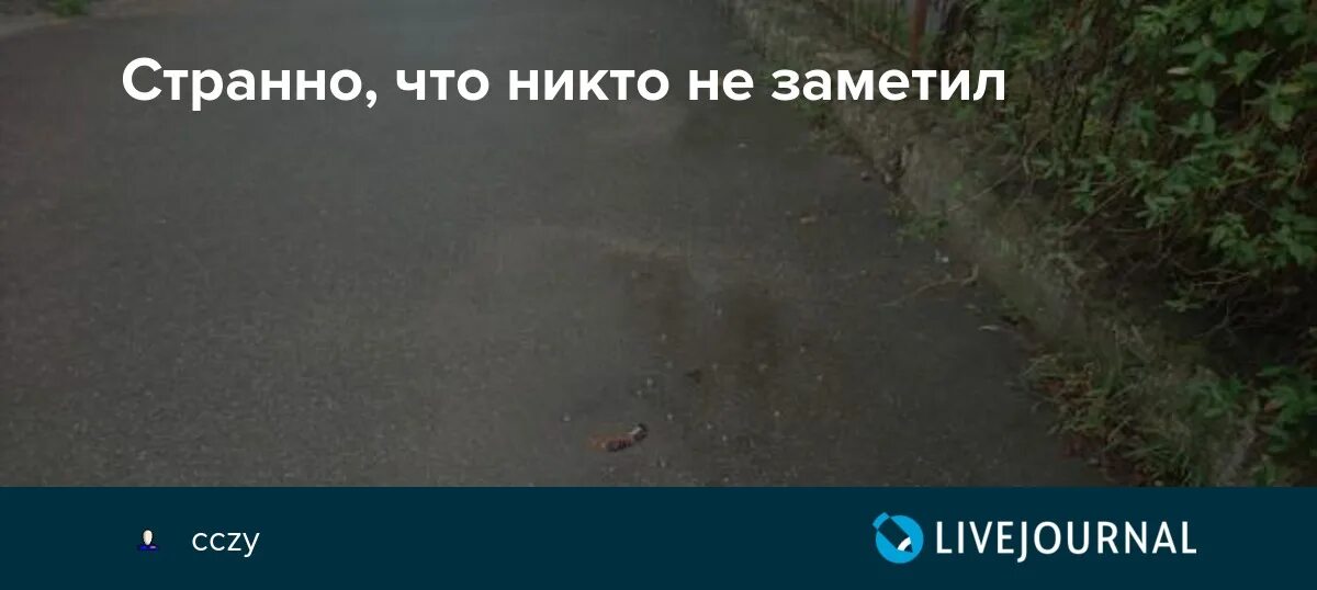 Никем не замеченный. Поплакала и никто не заметил. Я не заметил на своих двух