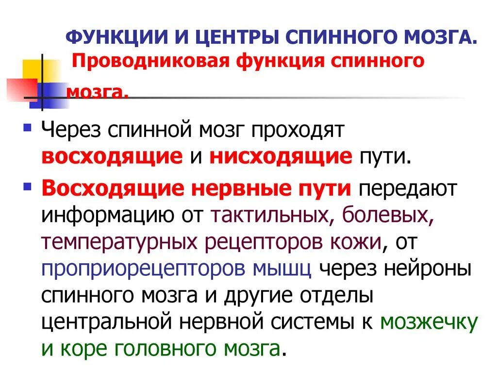 Нисходящие пути спинного. Нисходящие пути спинного мозга таблица. Проводниковые пути спинного мозга таблица. Восходящие и нисходящие пути спинного мозга. Проводящие пути спинного мозга функции.