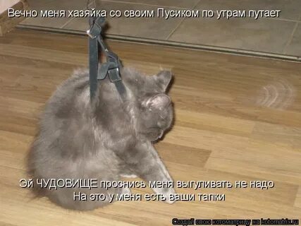 Куда идти гулять