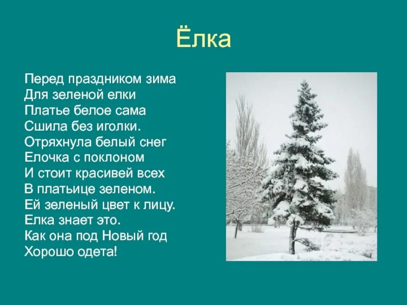 Стих про елку. Зимние стихи про елочку. Стихотворение о ели. Стихотворение про зимнюю елку. Зимою и летом елочка зеленая была