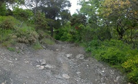 Краснодарский край где чище