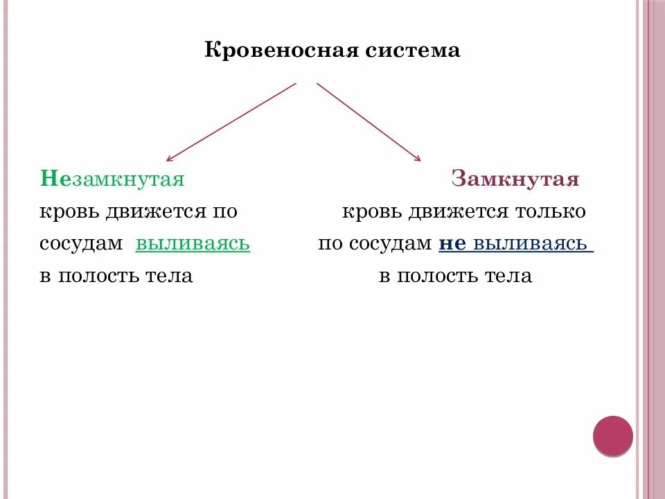 Замкнутая и незамкнутая кровеносная система у животных. Замкнутая и не замкнутая кровенорскная систе м. Незамкрутая кровянпя систкма. Замкнуиая не замкнутая кровеносная система. Незамкнутая кровеносная система характеристика