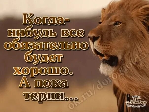 Терпи родной. Терпение Лев. Статусы про Льва. Терпи дорогой. Бог любит терпеливых.