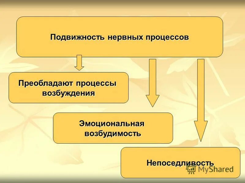 Тормозной тип характеризуется. Преобладание процессов торможения над процессами возбуждения. Процессы возбуждения преобладают над процессами торможения. Процессы возбуждения преобладают над процессами торможения у детей. Процессы возбуждения преобладают.