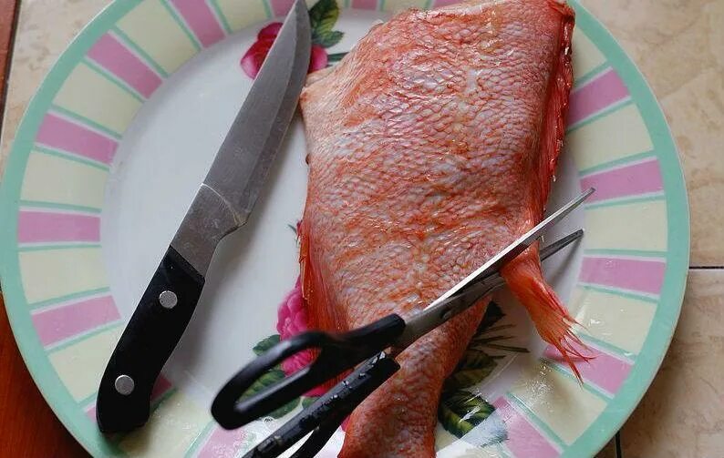 Как почистить морского окуня. Морской окунь чешуя. морской окунь выпотрошенный. как разделать морского окуня. окунь морской очищенный.