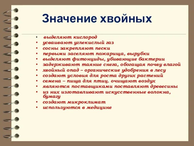 Каково значение хвойных. Значение хвойных. Значение хвойных растений для человека. Значение хвойных в природе. Значение хвойных таблица.