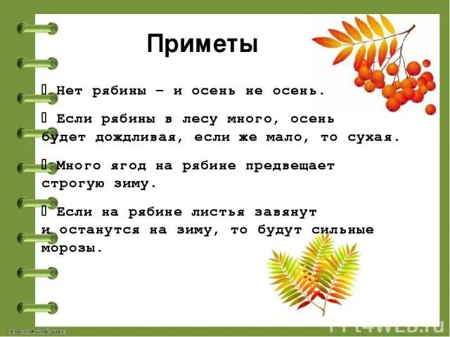 Глагол от слова рябина. Народные приметы о рябине. Если много рябины приметы. Приметы про рябину осенью. Приметы про рябину красную.