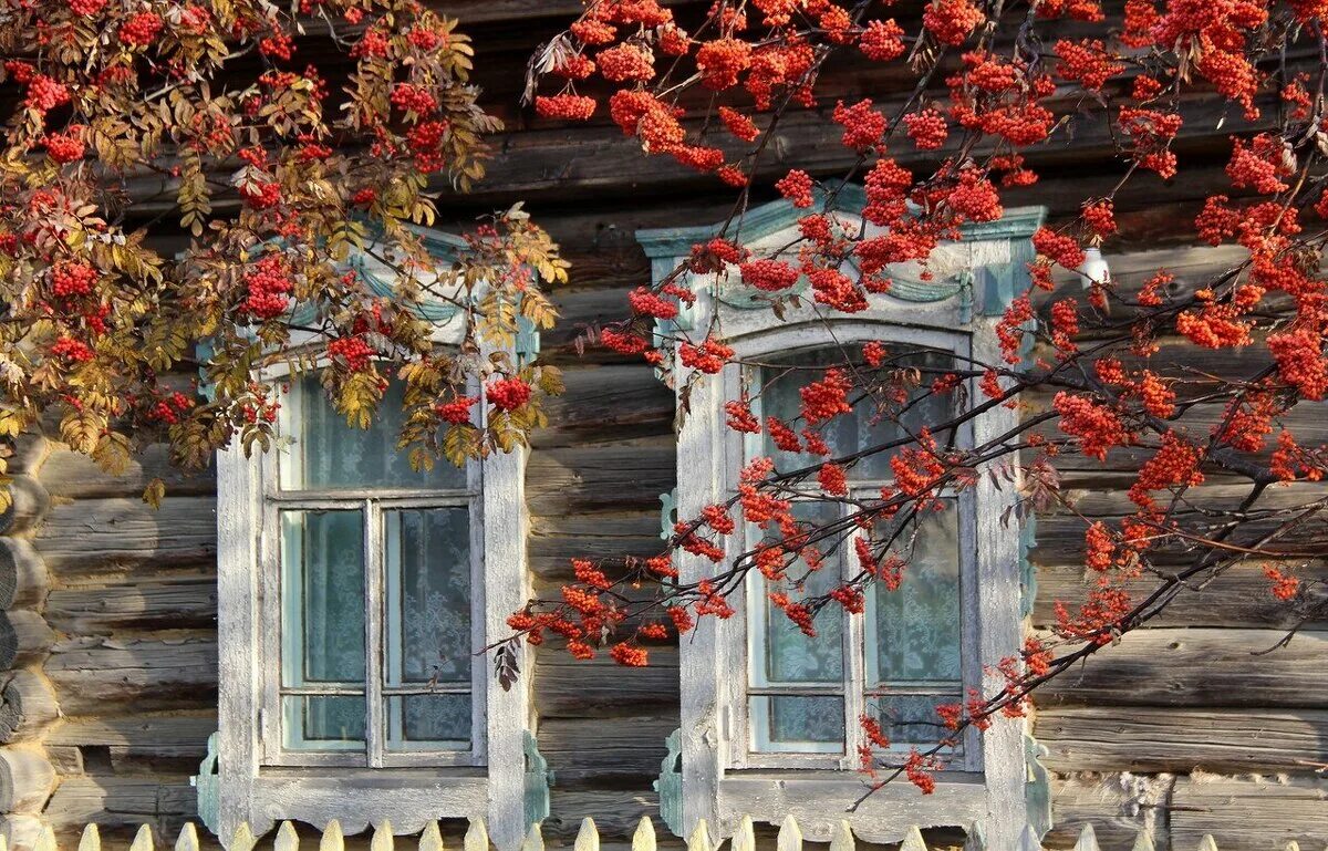 Стих пушкина люблю песчаный. Яблони живопись август абакумов. Люблю песчаный косогор перед избушкой две рябины. Люблю печальный косогор, перед избушкой две рябины,. Люблю песчаный косогор перед избушкой две рябины.