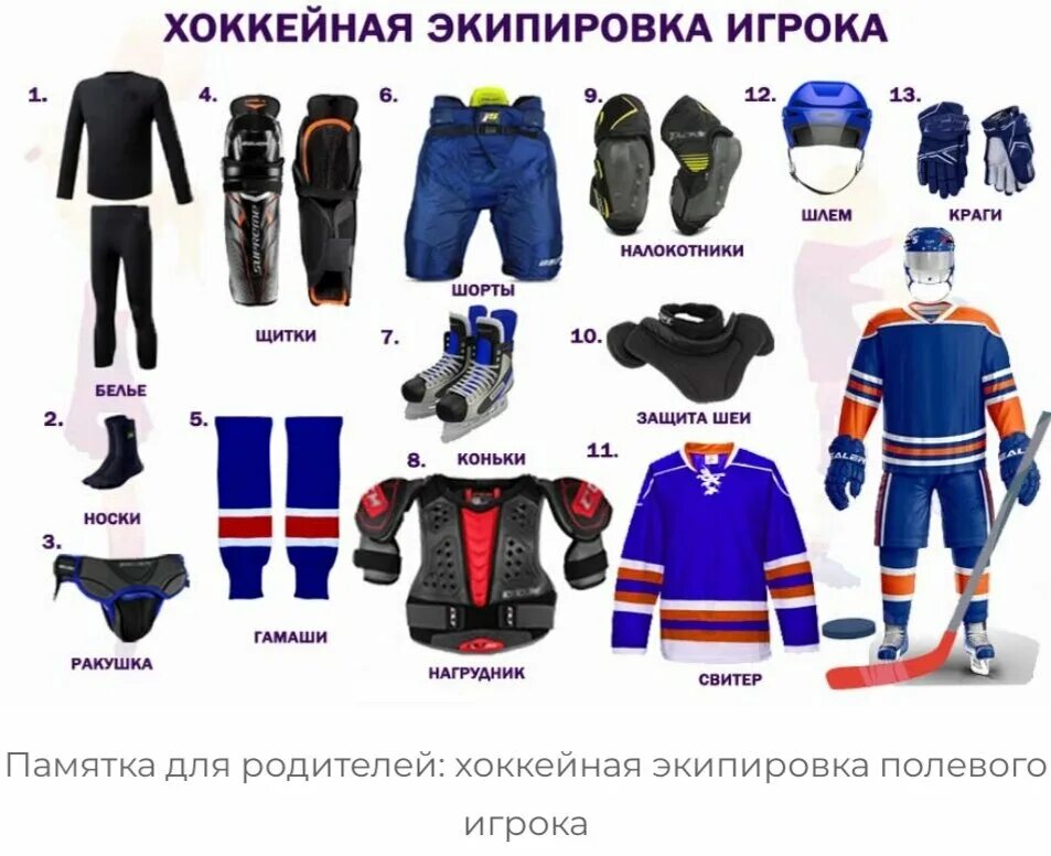 Как называется шайба в хоккее