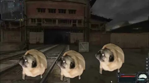 Мопс танцует 10
