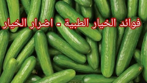 Сон кушать огурцы