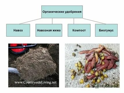 Удобрение растительного происхождения