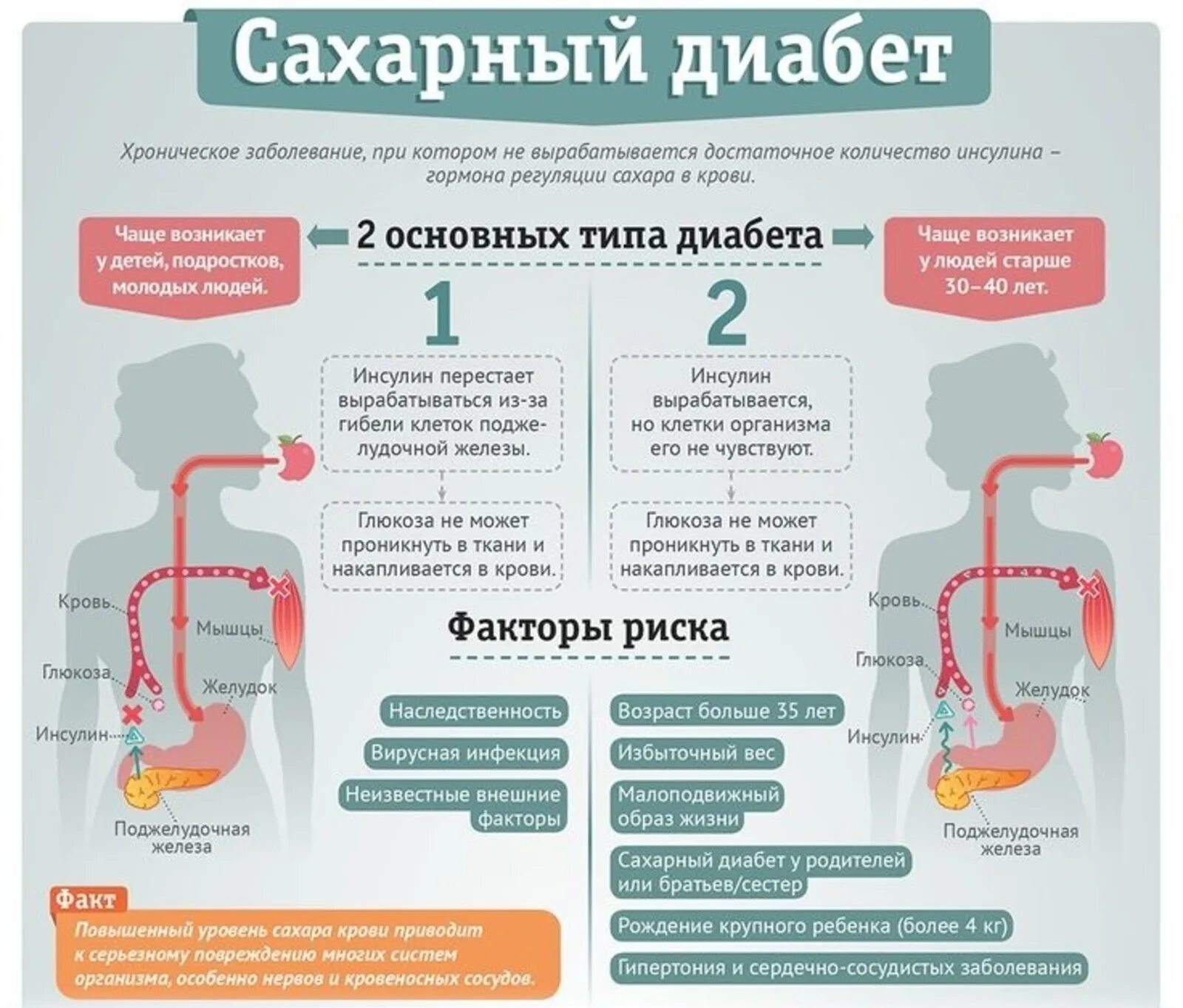 Чем отличаются диабеты. Сахарный диабет 1 и 2 типа различия. Сахарный диабет первого и второго типа разница. Сахарный диабет типы диабета. Сахарный диабет 1 и 2 типа симптомы.